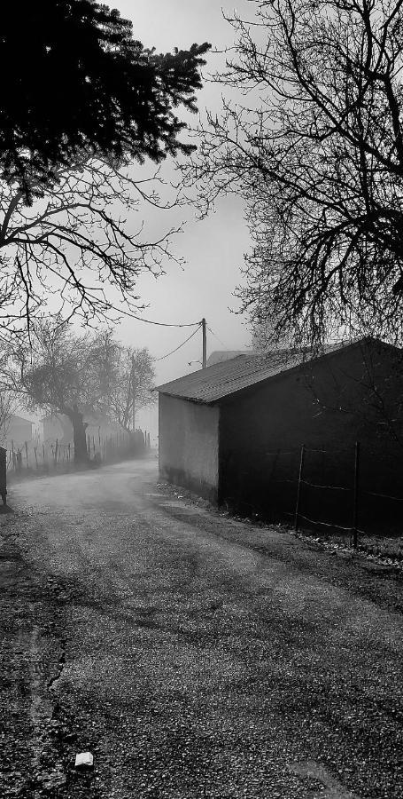 Ξενώνας Βυσωκά Kalavryta Exterior foto